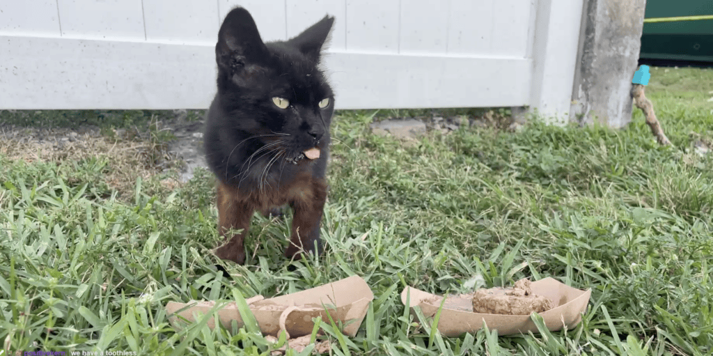 Ol' man Hades has a bite to eat