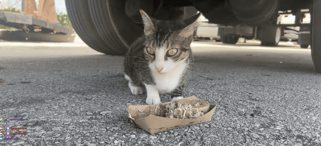 Marzipan stopping for a meal.