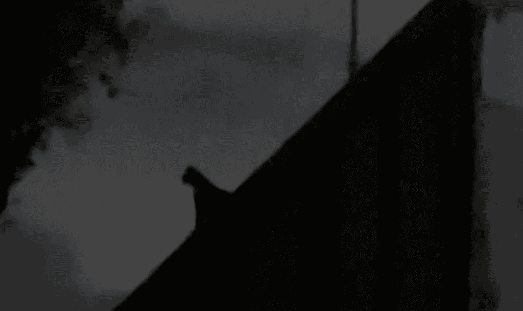 Gargoyle perched as a gargoyle.