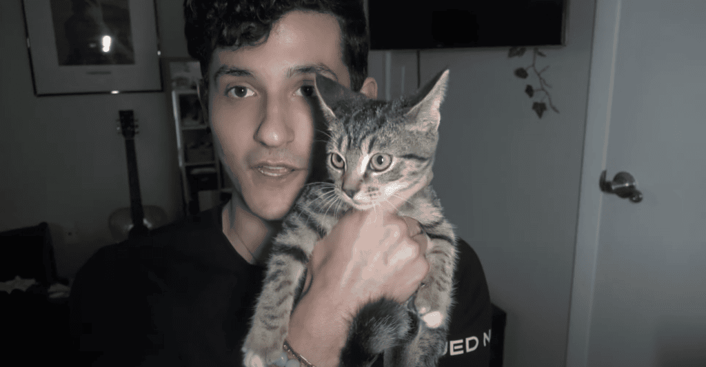 Simba
